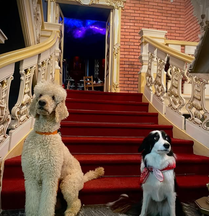 obraz_2025-08-28_132332162