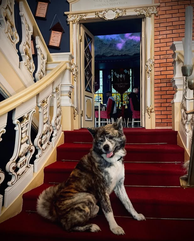 obraz_2025-08-28_113713968